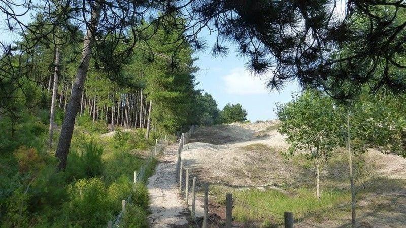 Hamac Chic Vue Mer. Berck Zewnętrze zdjęcie