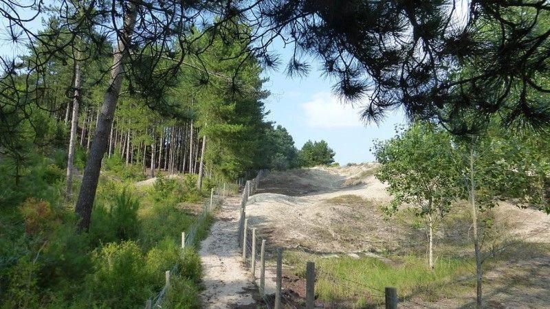Hamac Chic Vue Mer. Berck Zewnętrze zdjęcie