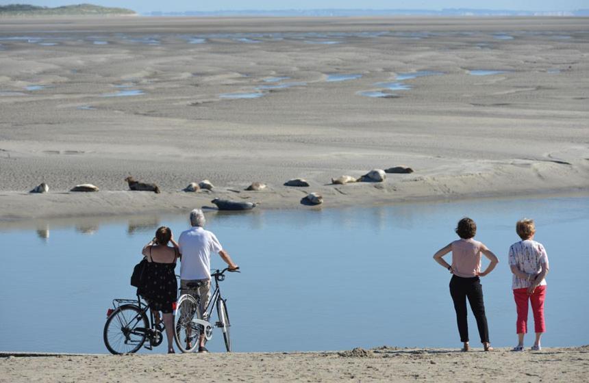 Hamac Chic Vue Mer. Berck Zewnętrze zdjęcie